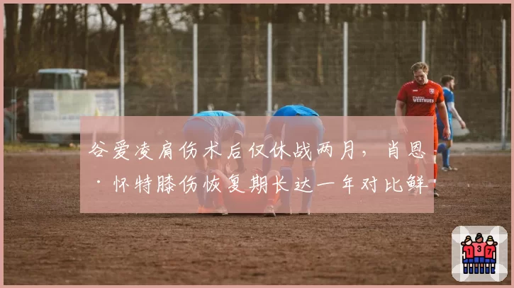 谷爱凌肩伤术后仅休战两月,肖恩·怀特膝伤恢复期长达一年对比鲜明