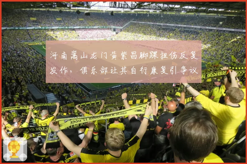 河南嵩山龙门黄紫昌脚踝扭伤反复发作，俱乐部让其自行康复引争议