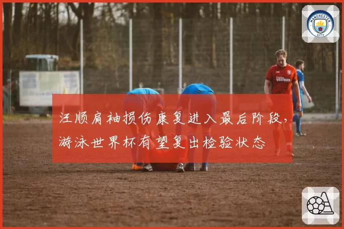 汪顺肩袖损伤康复进入最后阶段，游泳世界杯有望复出检验状态