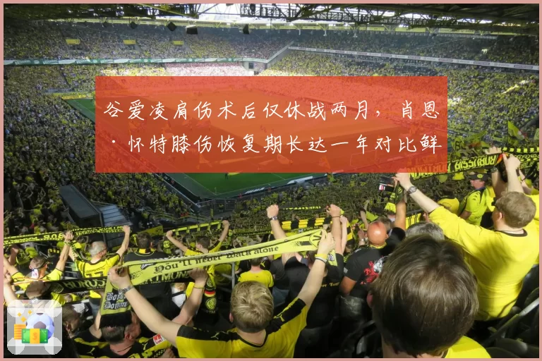 谷爱凌肩伤术后仅休战两月,肖恩·怀特膝伤恢复期长达一年对比鲜明